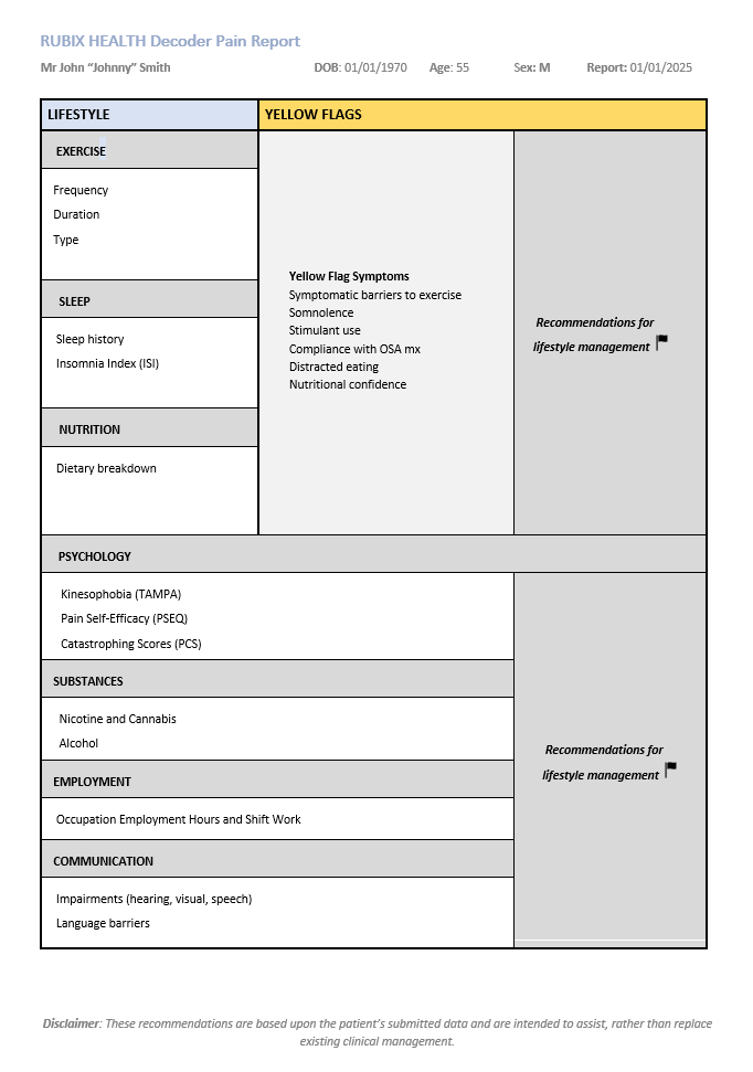 Page 4: Lifestyle-Social History with Yellow Flags